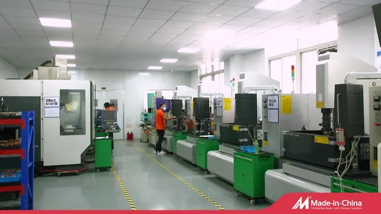 Produttore / produzione di stampi in plastica di precisione personalizzati